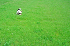 草原の中で写真撮影(^^)
