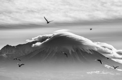 大山とカモメ達