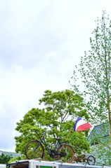 PARIS IN TOKYO