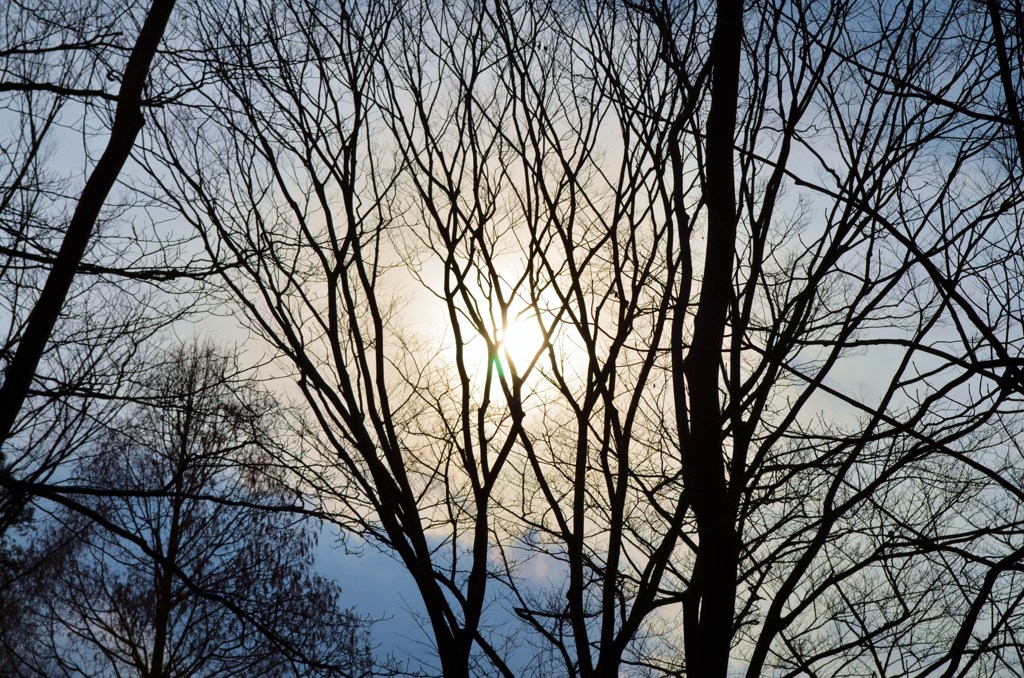 HIKARI