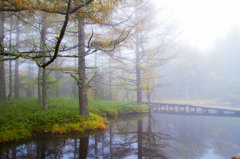 霧の御泉水自然園
