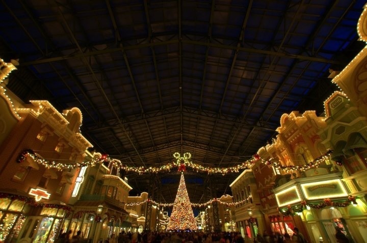 Entrance of the dream At Christmas