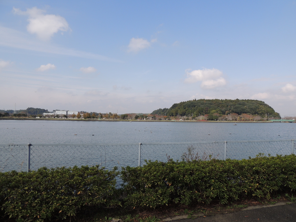 坂田池