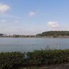 坂田池