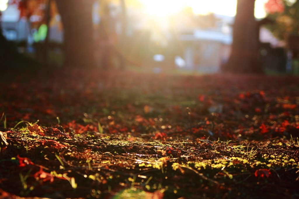 fall