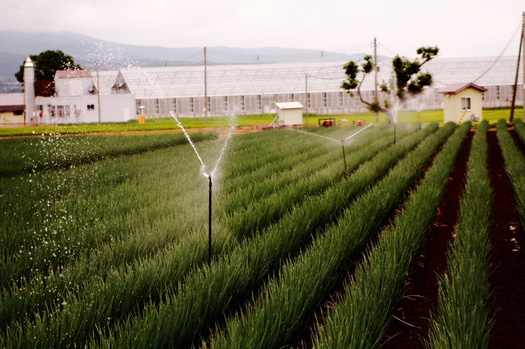 sprinkler