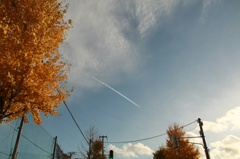 秋空