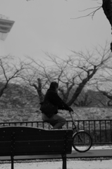 颯爽と…