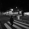 イソゲ