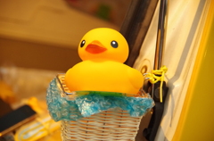 がー！