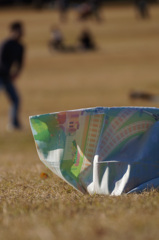 国営昭和記念公園