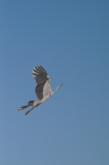 国営昭和記念公園