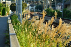 kamakura_07