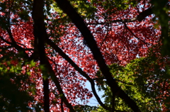kamakura_08
