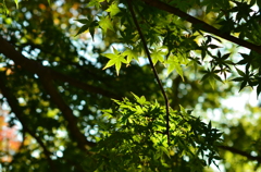 kamakura_01