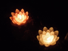 光花