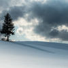 雪原の浪漫
