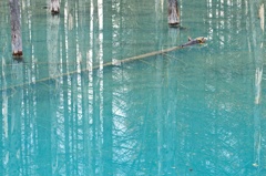 The Blue 3