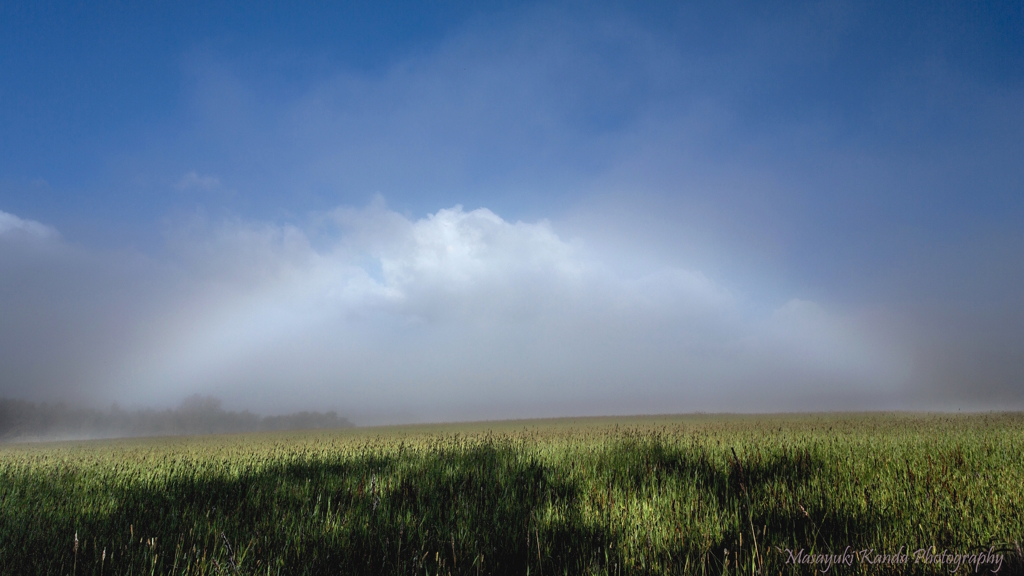 Misty September 15 霧虹