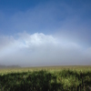 Misty September 15 霧虹