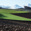 Green of Eary May ５