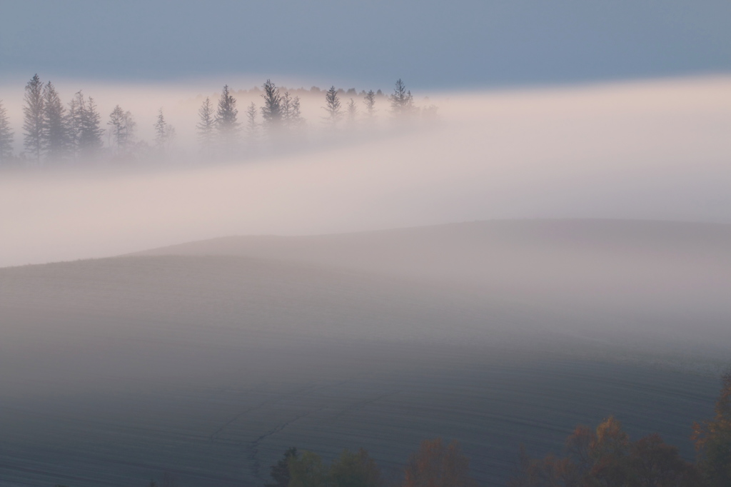Mist