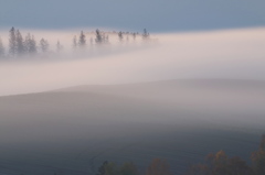 Mist
