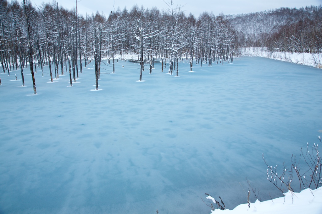 The Blue Sherbet Pond 3