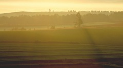 morning glow 7