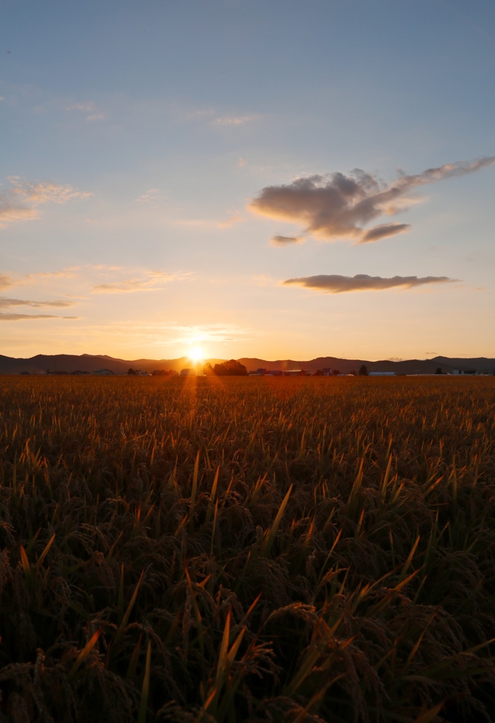 最後の夕陽