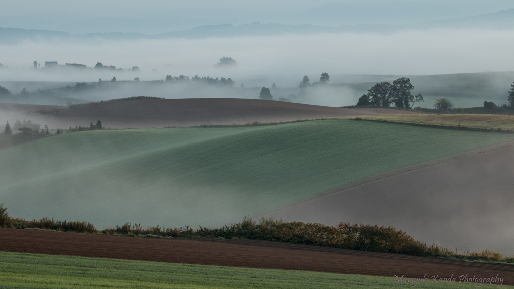 Misty September 6 流白