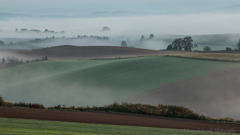 Misty September 6 流白