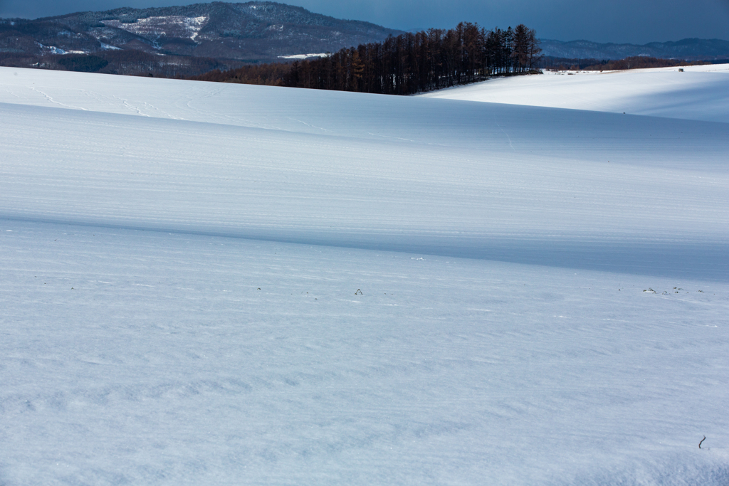 雪原５