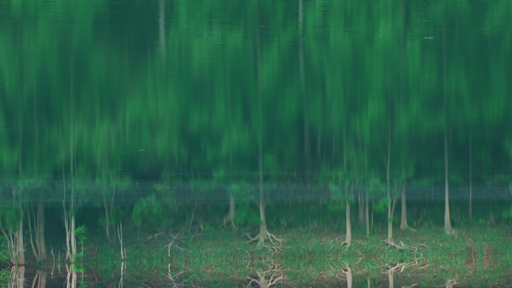 緑幻　試作