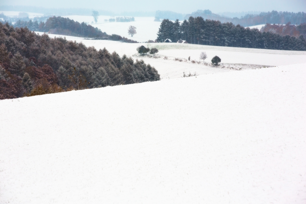 初雪　新栄の丘