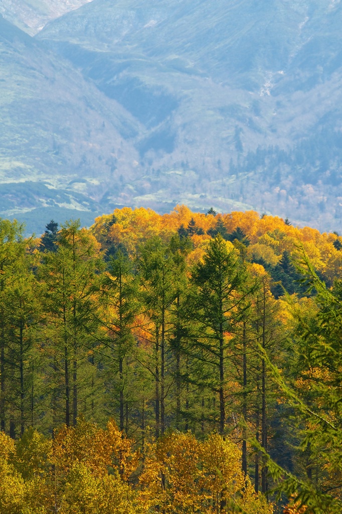 山麓の紅葉