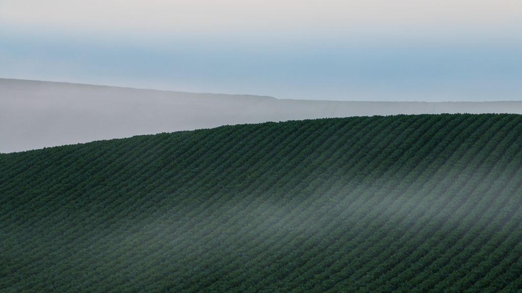 水無月霧景　ビート畑