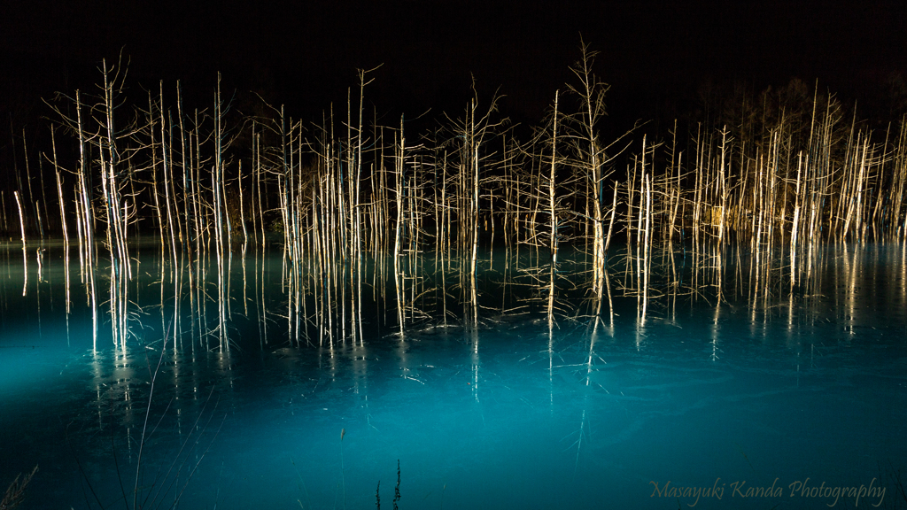 Holly night　Blue Pond
