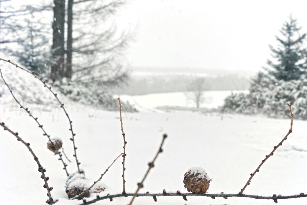 Winter came on