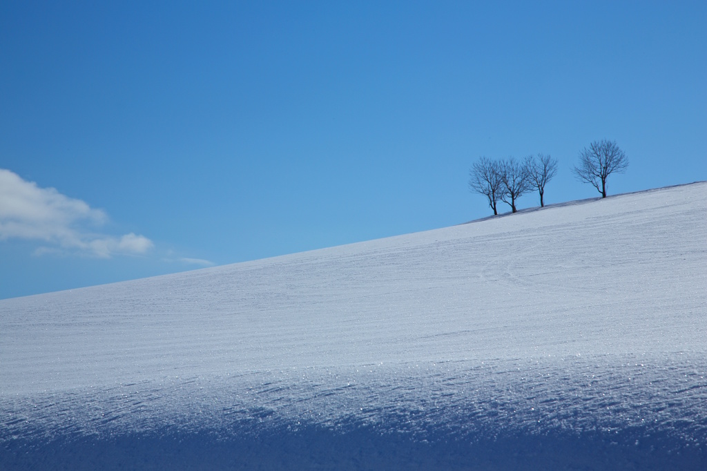 雪丘