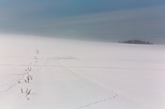 Snow field