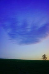 Tree6 Tree6