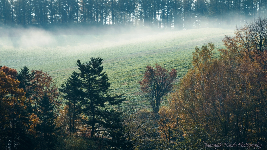 Misty October 9