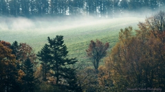 Misty October 9