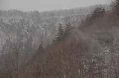 雪の紅葉谷