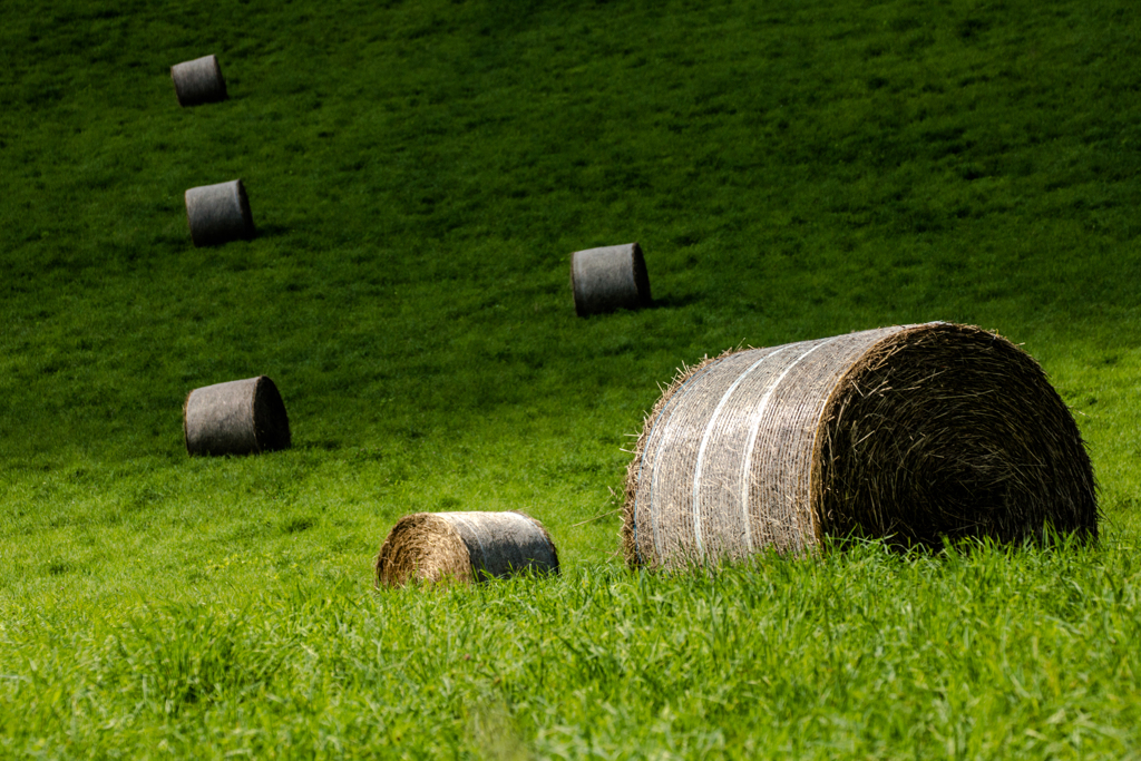 on Green