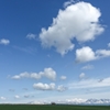 空