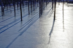 The Ice Pond 2