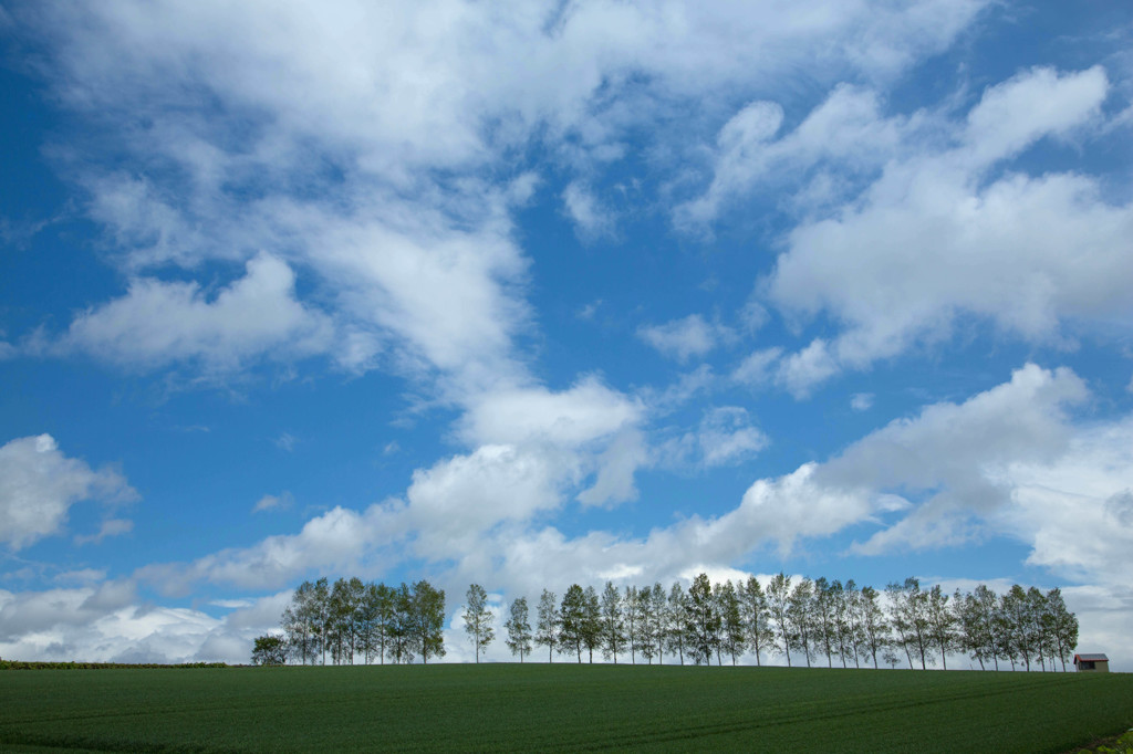 ５月の空