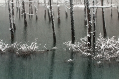 青い池　降雪